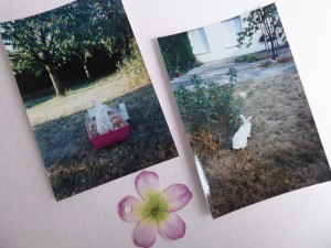 Billet de Soizic n° 14 Boulie