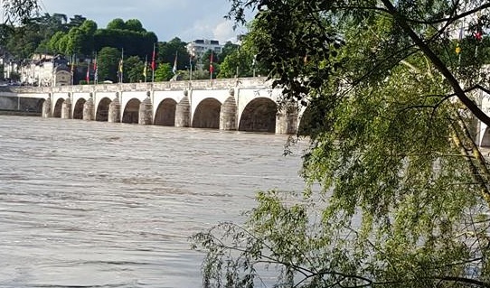 pont wilson