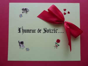 Billet de Soizic n° 13 - LE CHANTEUR GUITARISTE