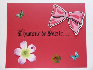 UN HOMME RARE ET SINGULIER - SOIZIC 15