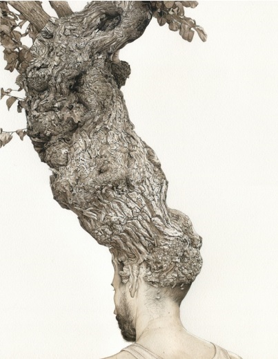 merelle_arbre