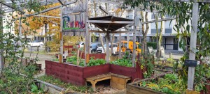 Le Planitas, jardin solidaire dans le quartier du Sanitas 