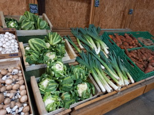 Légumes en vente en ce moment à la Fruitière Tourangelle