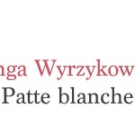Kinga Wyrzykowska Patte blanche éditions du Seuil