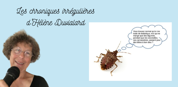 Punaise !