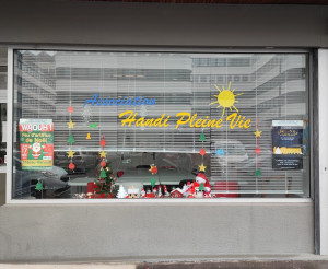 association handi pleine vie