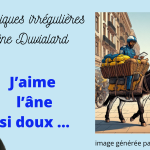 chroniques irrégulières slide ane