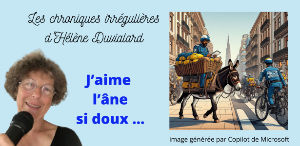 chroniques irrégulières slide ane