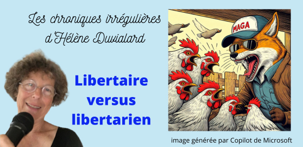 chroniques irrégulières slide libertaire
