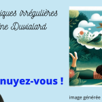 chroniques irrégulières slide ennuyez-vous