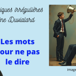 chroniques irrégulières slide les mots pour ne pas le dire