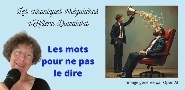 chroniques irrégulières slide les mots pour ne pas le dire