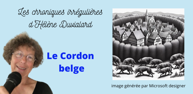 chroniques irrégulières slide cordon belge