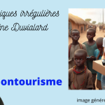 chroniques irrégulières slide volontourisme