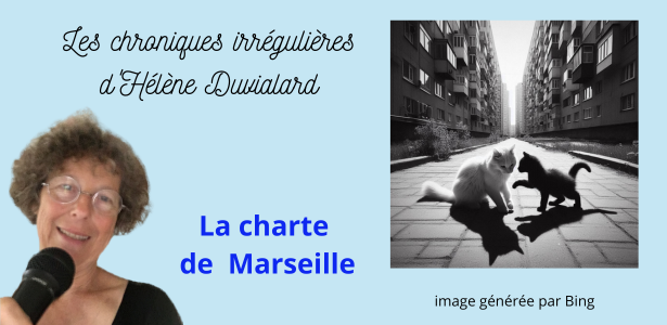 chroniques irrégulières slide la charte de marseille