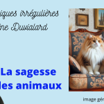 chroniques irrégulières slide sagesse des animaux
