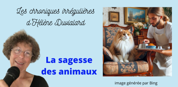 chroniques irrégulières slide sagesse des animaux