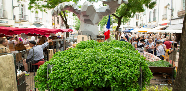 20240726-Foire-a-l'ail-et-au-basilic-©-Ville-de-Tours---F.-Lafite-05-615-300