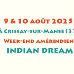 indiandream2025