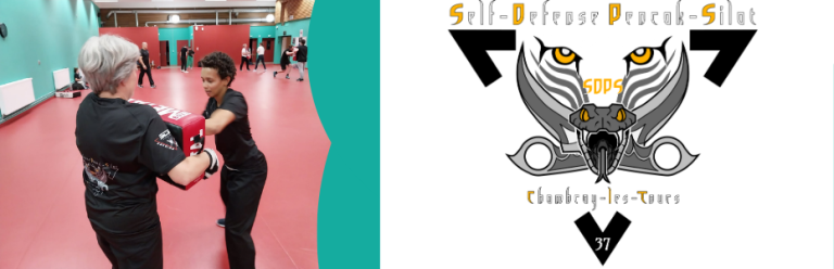 SDPS 37