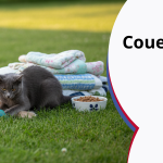 Couette et croquette