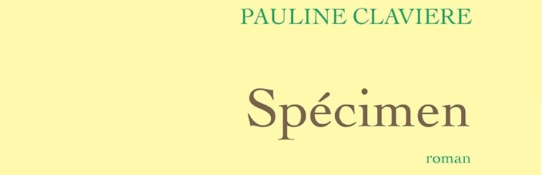 paulineclavierespecimen