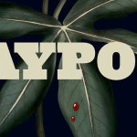 maypops