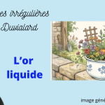 chroniques irrégulières slide or liquide