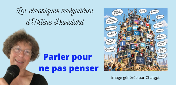 chroniques irrégulières parler pour ne pas penser